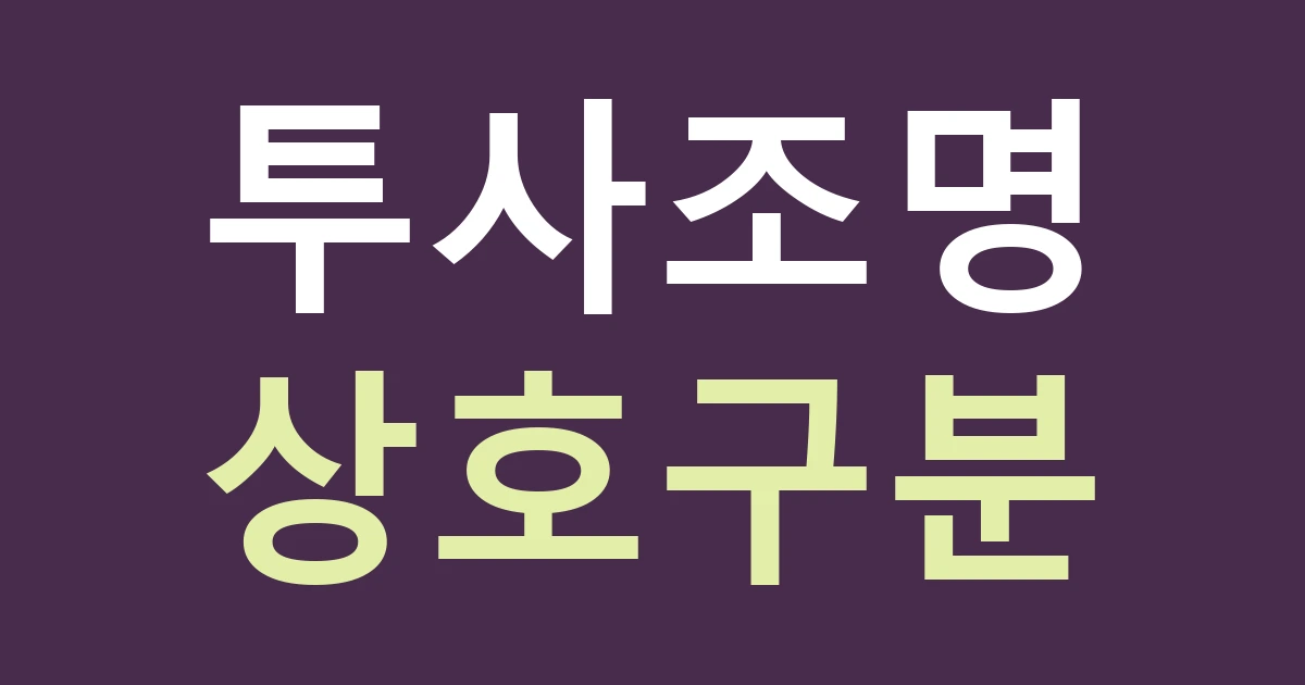 경기 수원시 권선구 세류1동 간판종류, 바닥에 비추는 고보조명이 상호 간판을 대신할 수 있을까