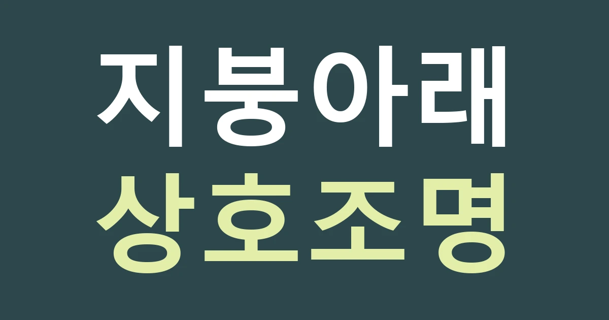 경기 수원시 팔달구 화서1동 시장 간판, 아케이드 아래의 상호와 조명은 어떻게 비교할까