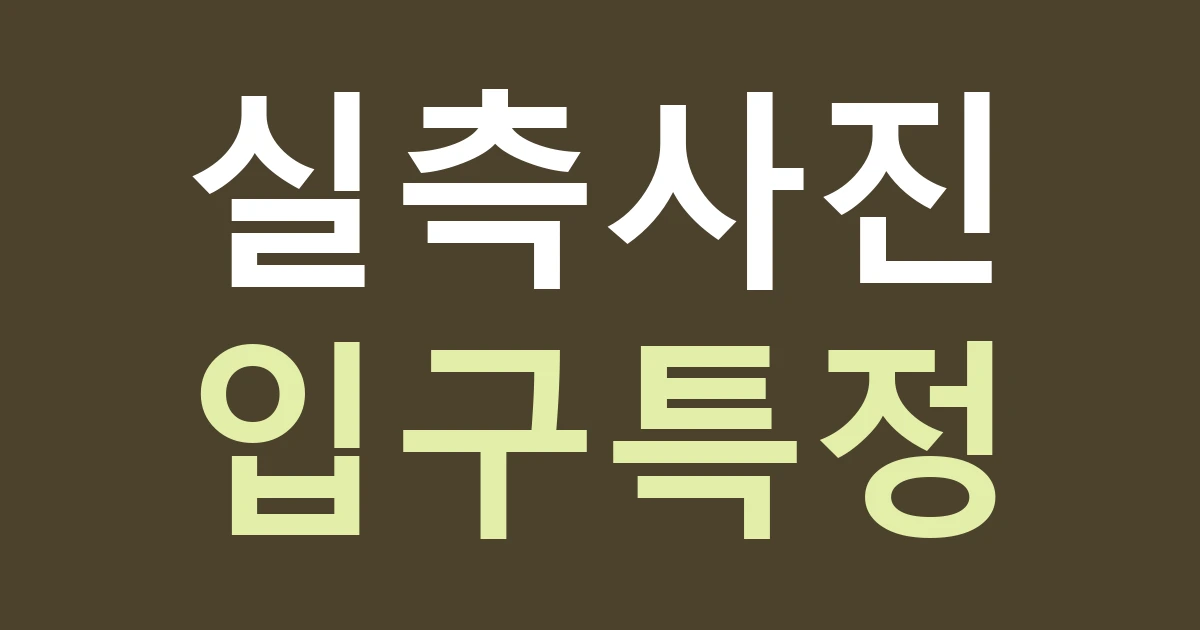 경기 부천시 원미구 심곡3동 간판 업체에 보낼 사진: 부천역·중동역 생활권의 실제 입구를 특정하기